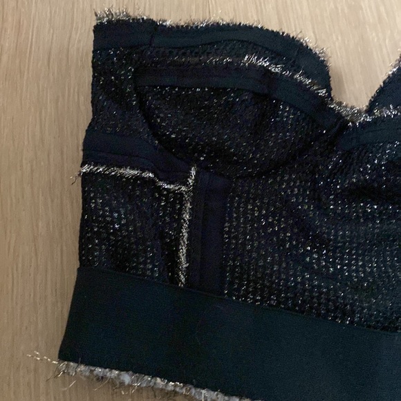 Gorgeous bustier corset by Proenza Schouler mesh & metallic side zip euc Xs - Picture 2 of 5